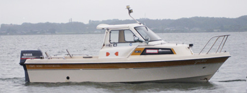 Õi {[g YAMAHA FISH 17B big4